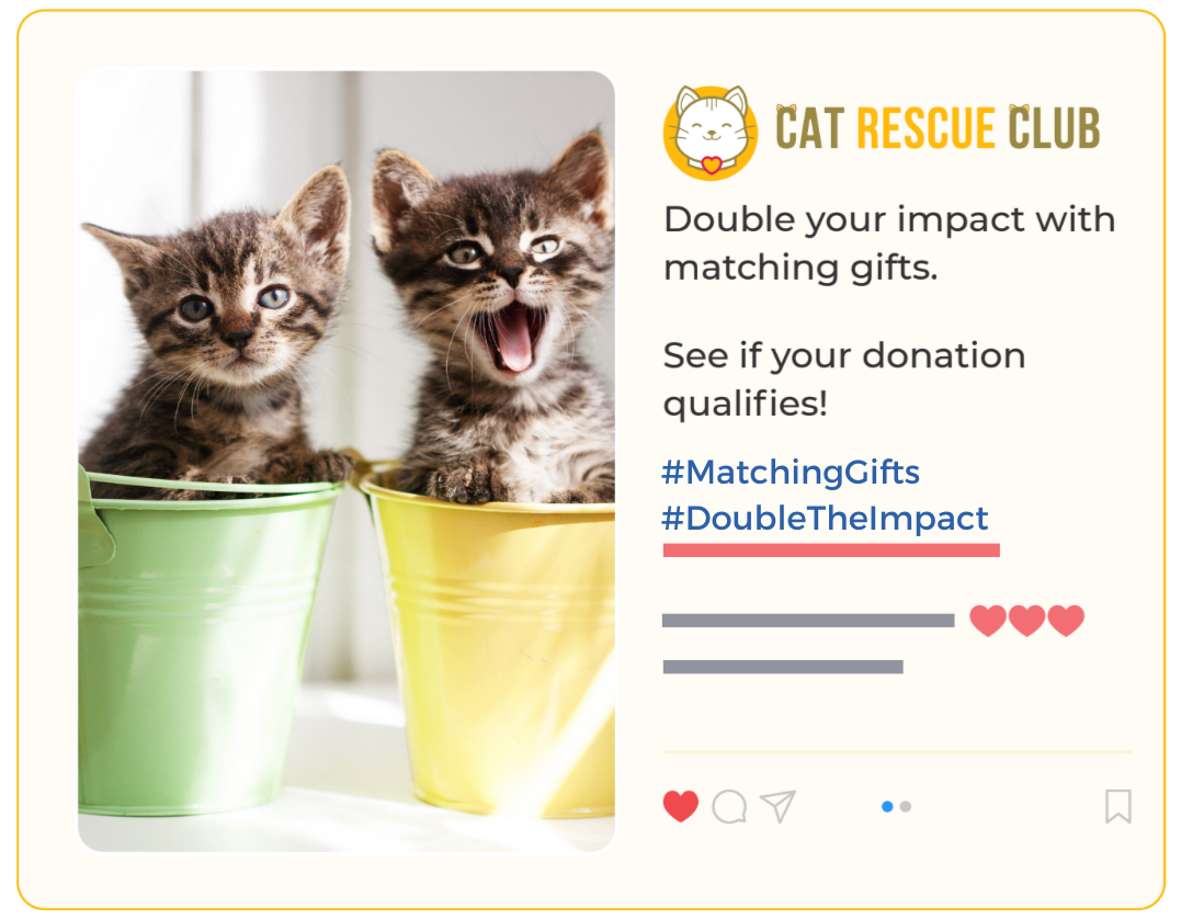 Increase matching gift revenue with social media posts.