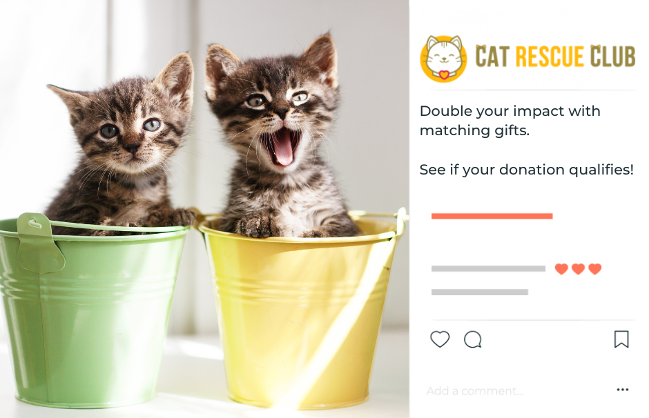 Marketing matching gifts on social media