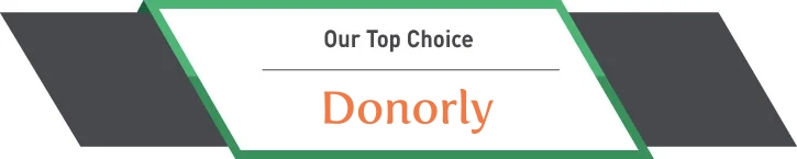 The logo for Donorly, one of the top capital campaign consulting firms