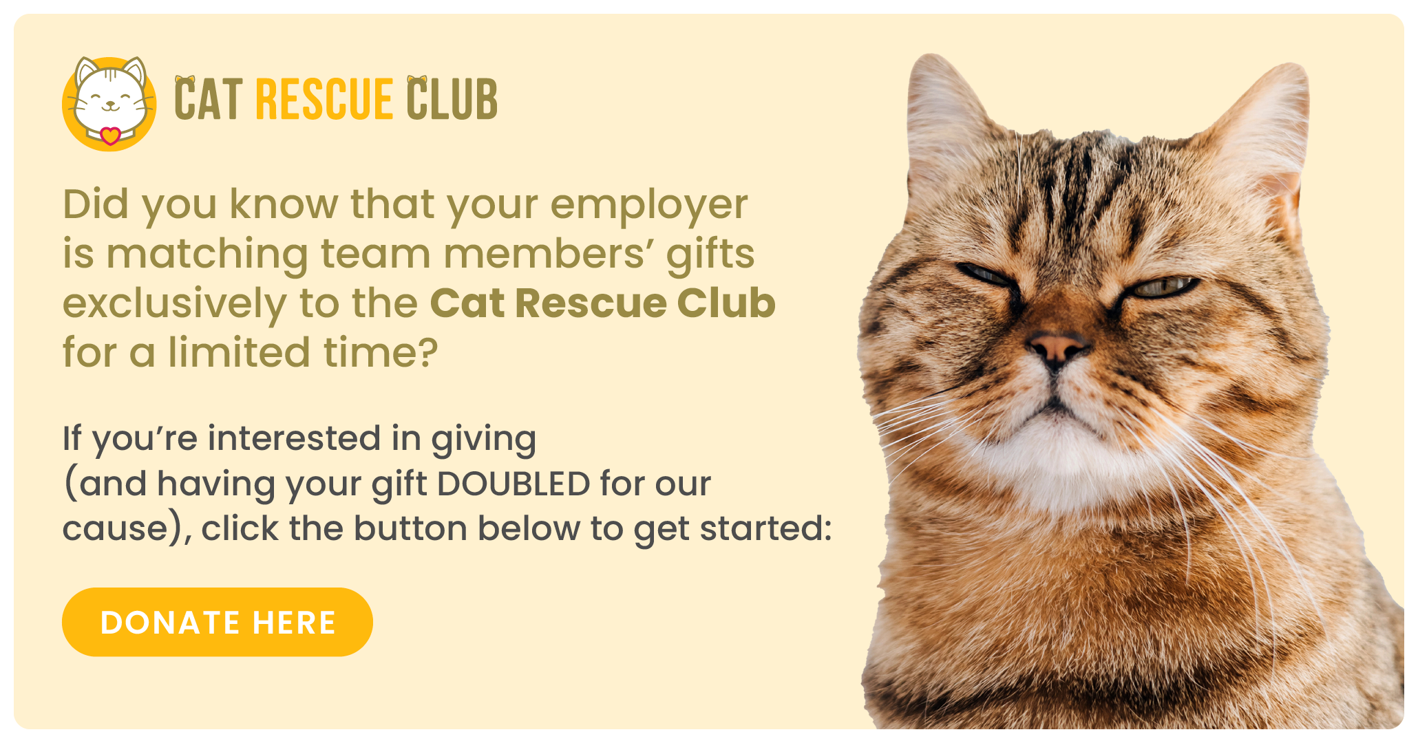 Marketing your one-off matching gift program with dedicated appeals
