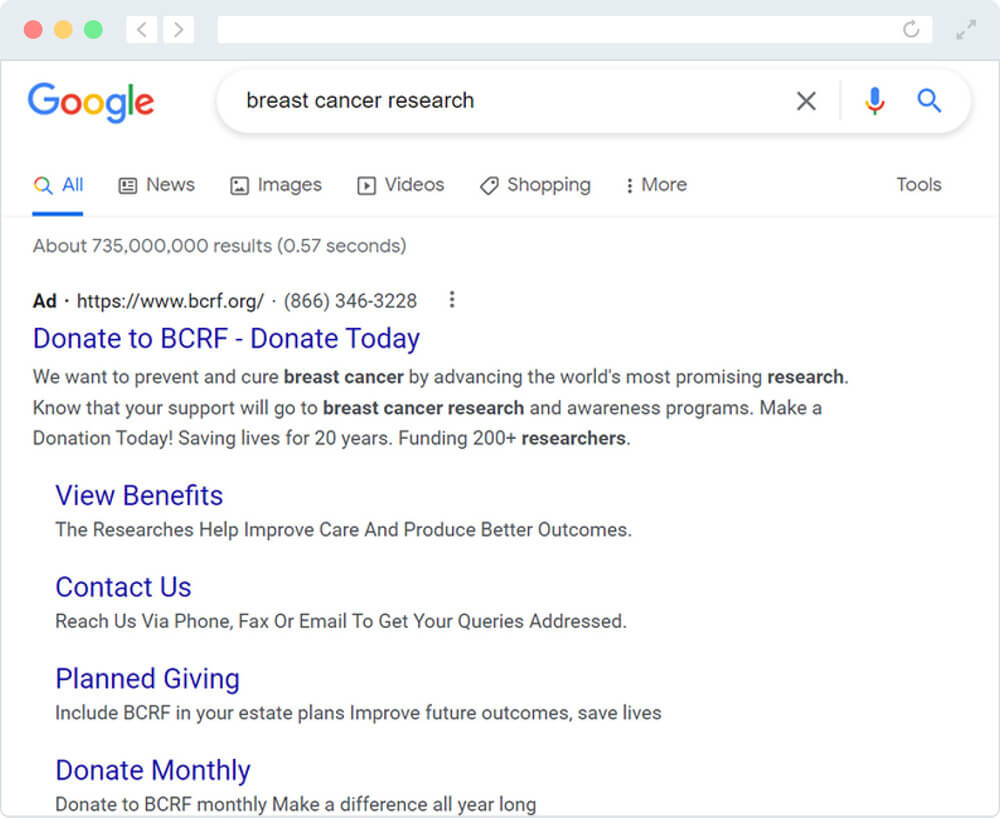 Google Ad Grants for online fundraising example