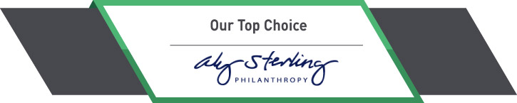 Aly Sterling Philanthropy is our top choice capital campaign consultant firm.