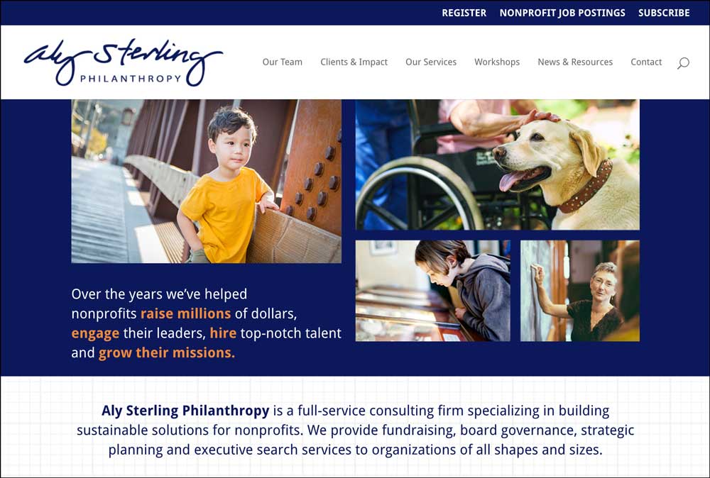 Aly-Sterling-Website-Indiana-Fundraising-Consultants