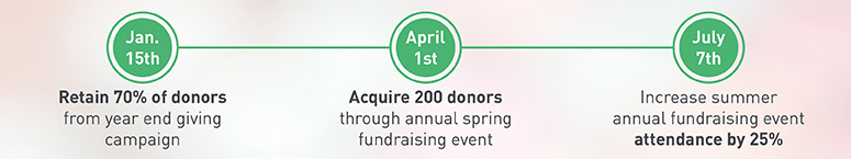Set a fundraising plan timeline.