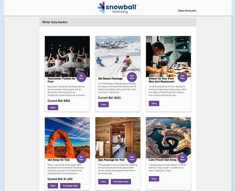 Snowball offers some of the top fundraising auction tools.