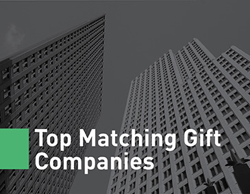 Explore the top companies behind the fundraising statistics.
