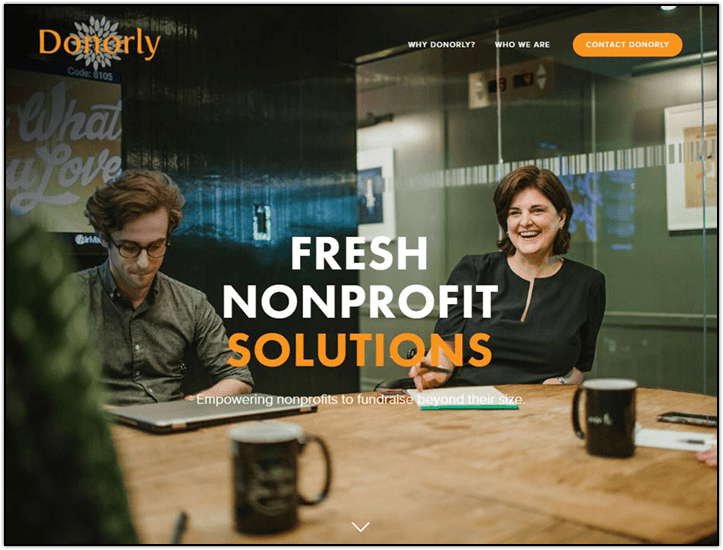 Donorly offers donor research-focused nonprofit technology consulting services.