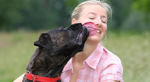 A dog kissing booth is a fun twist on a classic fundraising idea.