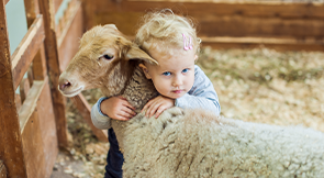 A petting zoo fundraiser is a fun fundraising idea for any organization.
