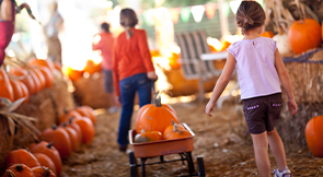 Setting up a pumpkin patch is a great fundraising idea for the Halloween season.