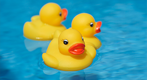 A rubber duck race is a fun fundraiser, especially for families.