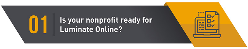 Luminate Online is designed for enterprise-level nonprofits with complex goals.