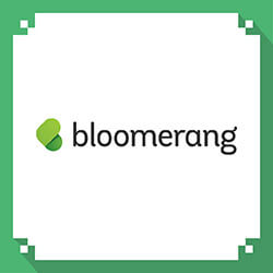 Bloomerang is a top nonprofit software solution.