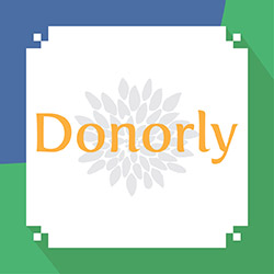 Donorly is a donor research-focused technology consulting firm.