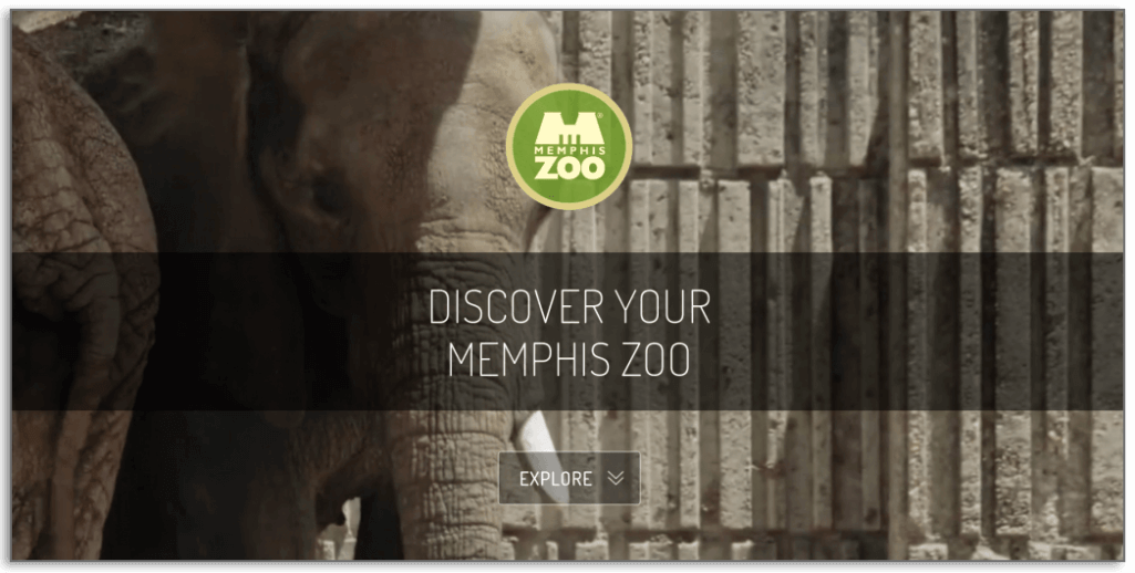 The Memphis Zoo has kept their nonprofit website design minimal, only including footage of their animals, their logo, and a couple of calls-to-action.