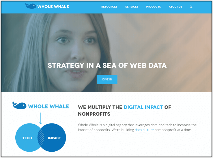 Portfolio  Tech Data Agency