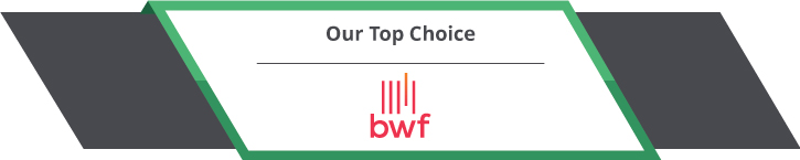 BWF is one of our top choices for capital campaign consultants (logo shown here)