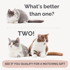 Here’s How You Can Celebrate Matching Gift Month This February