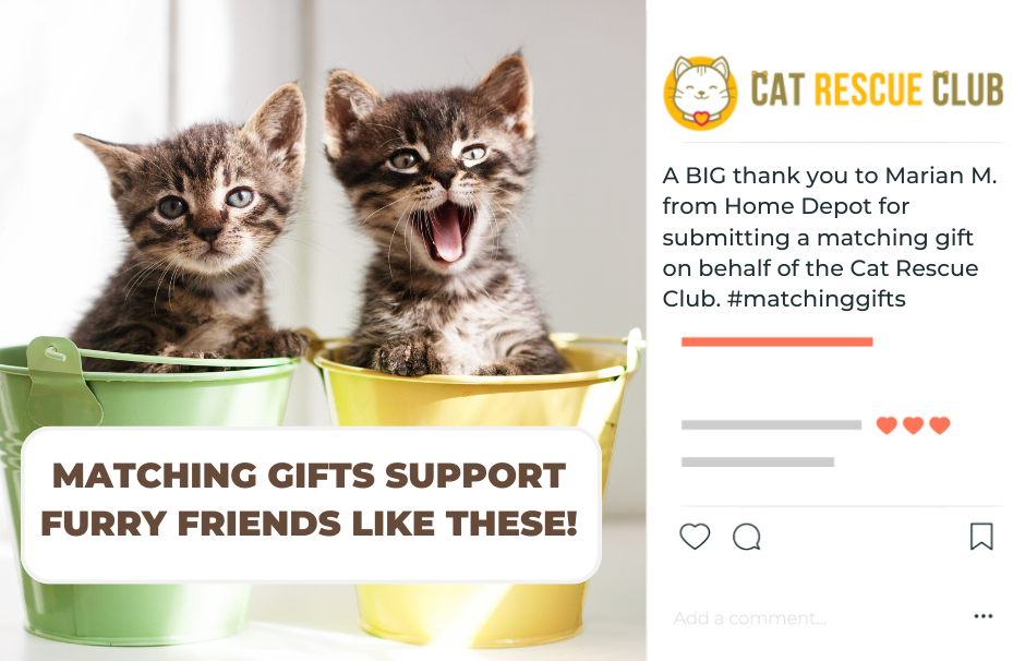 Retaining matching gift donors through social media recognition