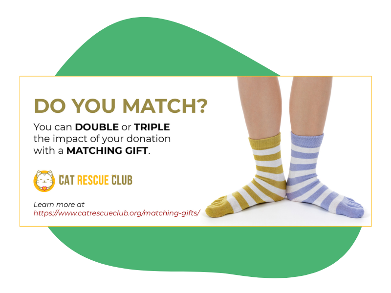 How to Promote Matching Gifts (and Other Best Practices!) - Fundraising  Letters Blog