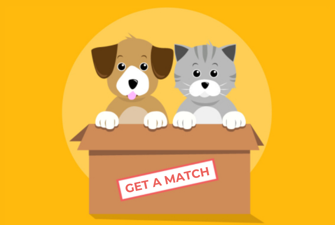 Pawsitive Match  Helping Animals Find Forever Homes