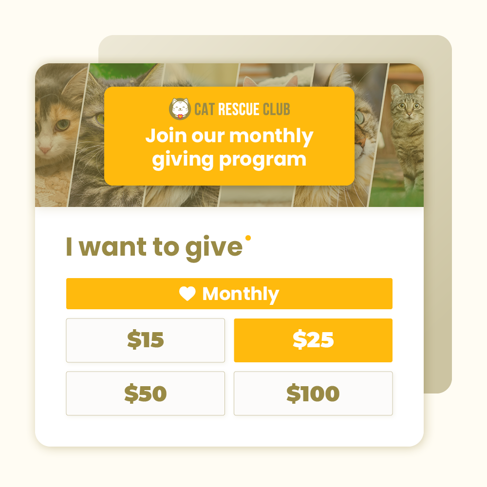 A donation page with suggested monthly giving amounts from example nonprofit the Cat Rescue Club.