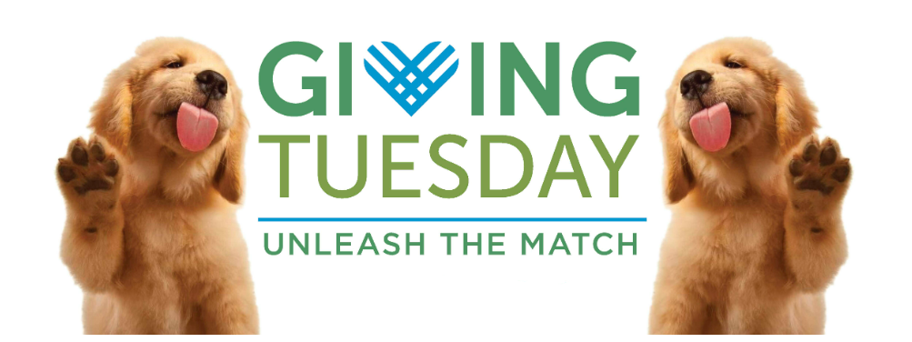 Matching gifts on Giving Tuesday - nonprofit promotional example