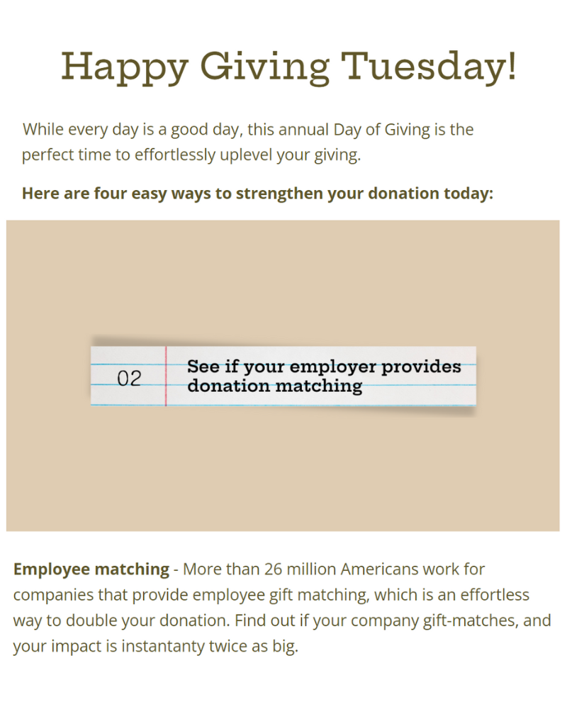 Matching gifts on Giving Tuesday - nonprofit promotional example