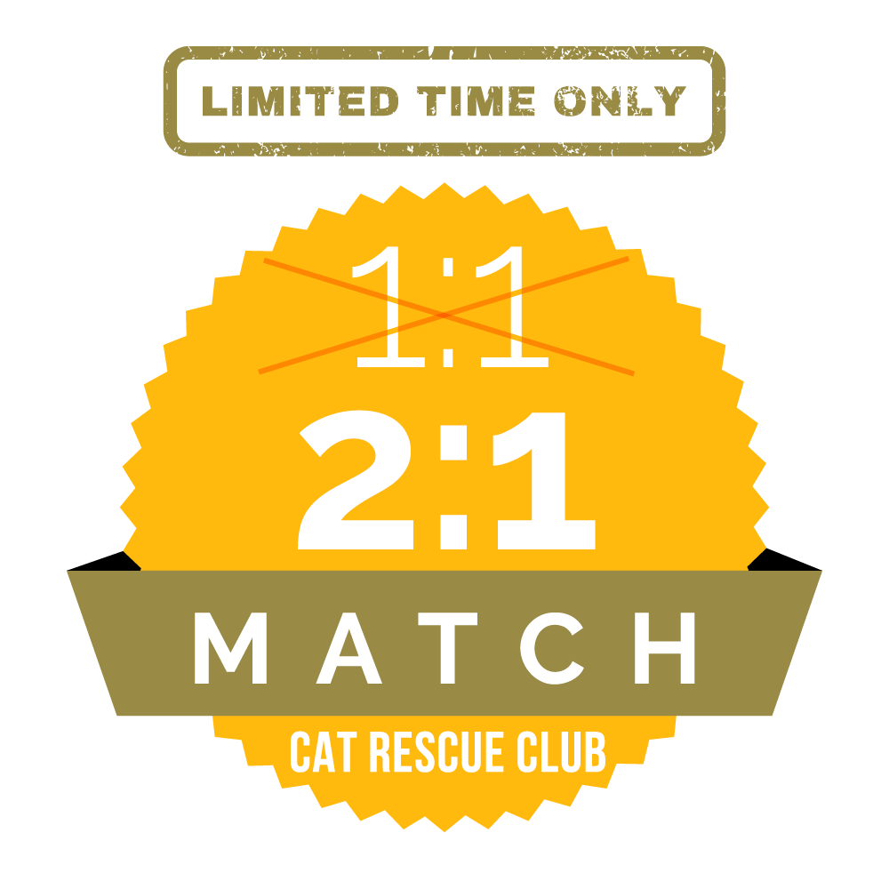 Example of a one-off matching gift program that amplifies an existing match