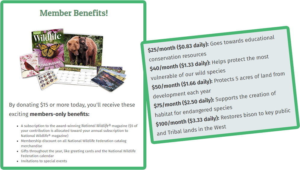 Screenshot of the National Wildlife Federation’s recurring giving promotions (explained below).