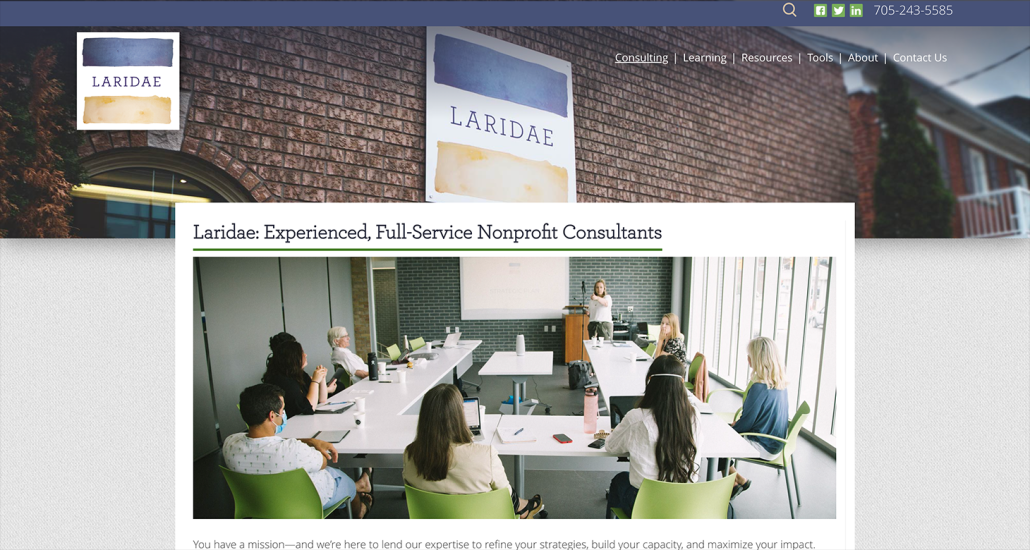 A screenshot of Laridae’s consulting page, which describes the firm’s services.