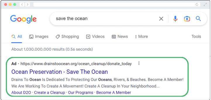 An example of an organization asking for donations with Google Ads