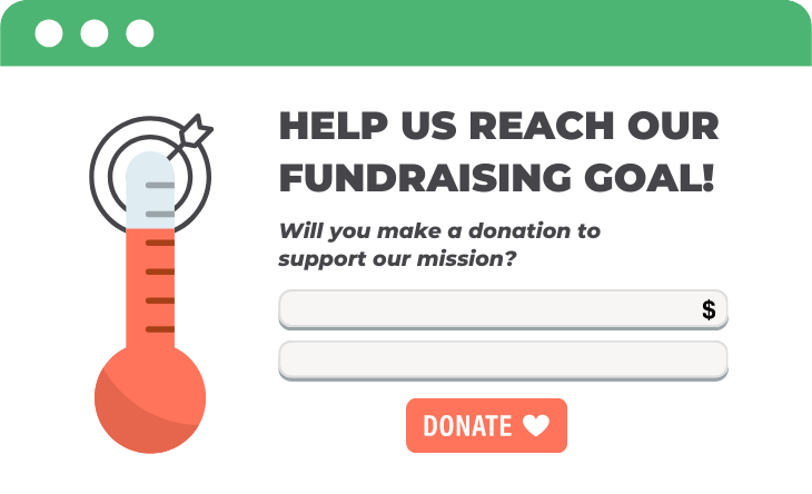 An example of an organization asking for donations through their website