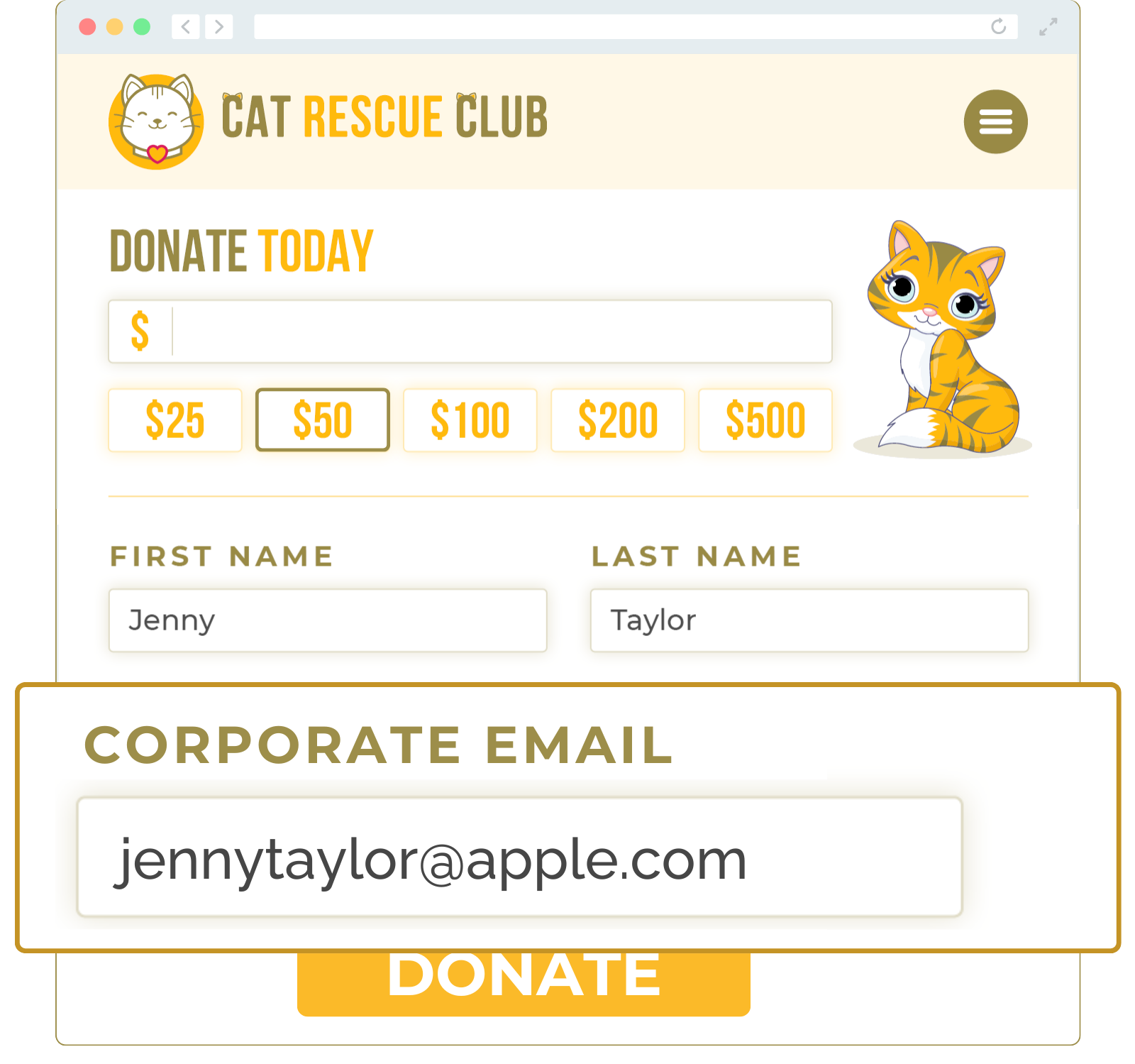 Sample donation form with email domain screening implemented