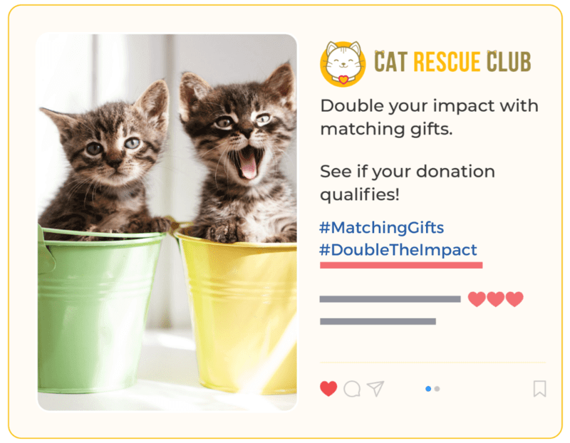 An example of a Instagram post about matching gifts from Cat Rescue Club