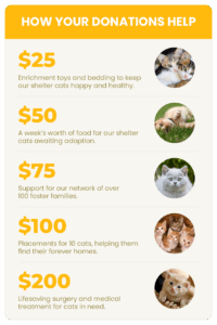 Donation Levels: Creating Donation Tiers That Drive Revenue