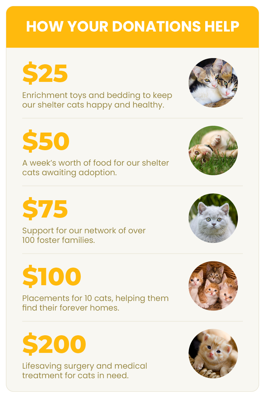 Donation Levels Creating Donation Tiers That Drive Revenue