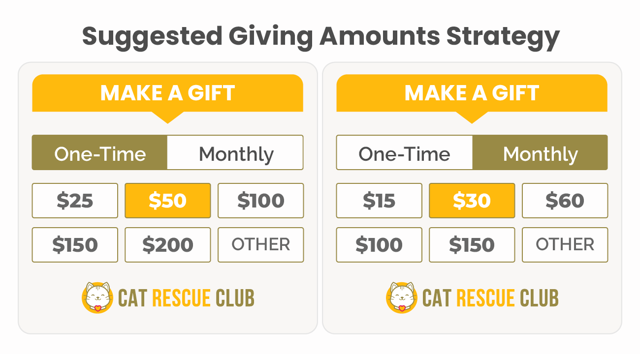 Button donation level for one-time and monthly giving from the Cat Rescue Club nonprofit.