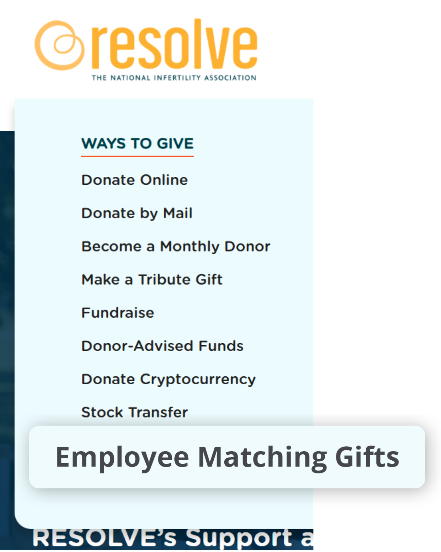 Example navigation menu from the Matching Gift Idea Exchange