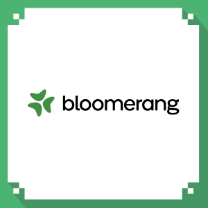 Bloomerang logo