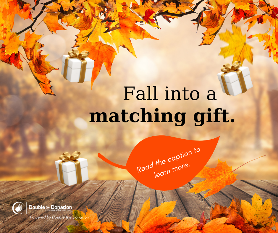 Matching gift content calendar example: fall