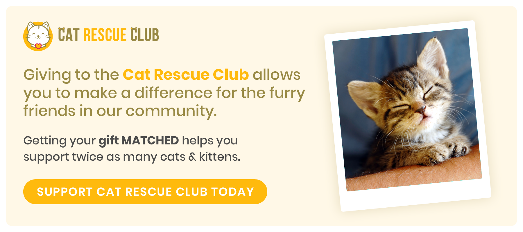 Example of marketing matching gifts within the donation process in your appeals
