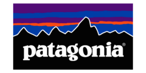 Patagonia is one of the top examples of workplace giving companies.