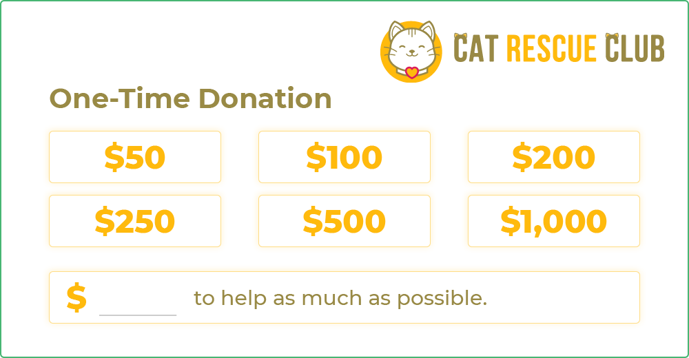 How corporate matching gift programs work: donor submits a donation.