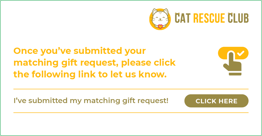 How corporate matching gift programs work: company makes a donation.