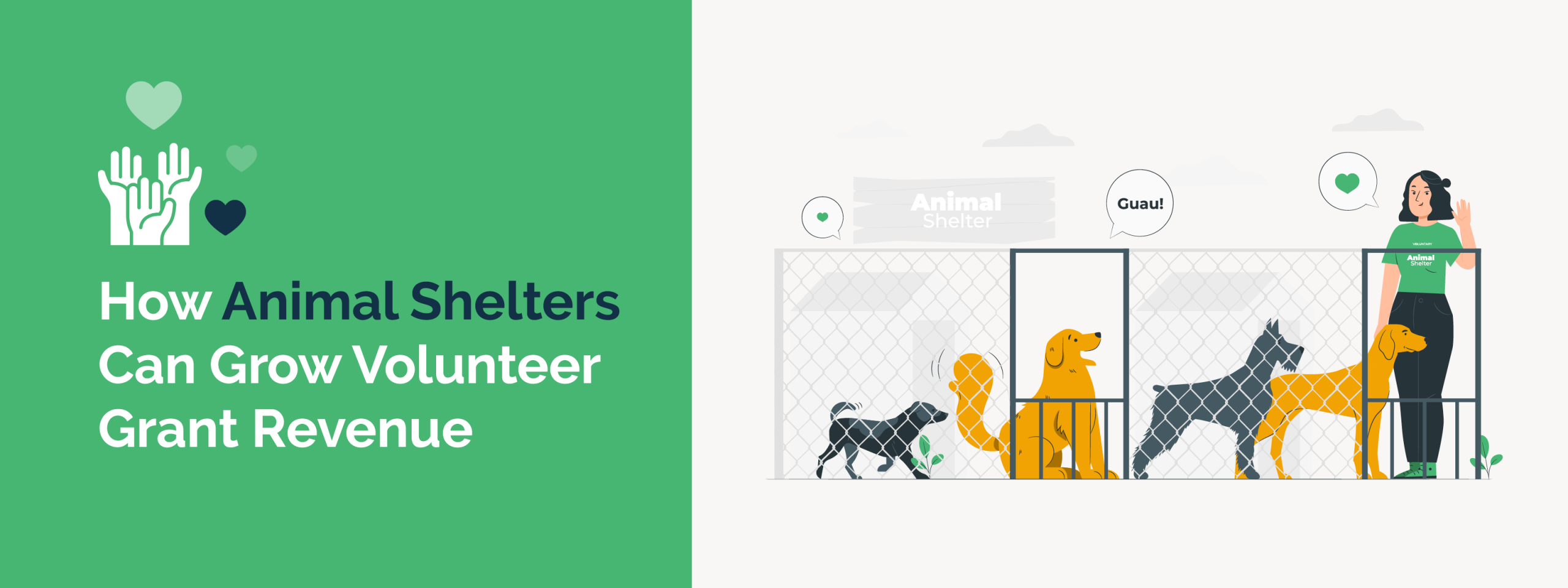 How Animal Shelters Can Grow Volunteer Grant Revenue