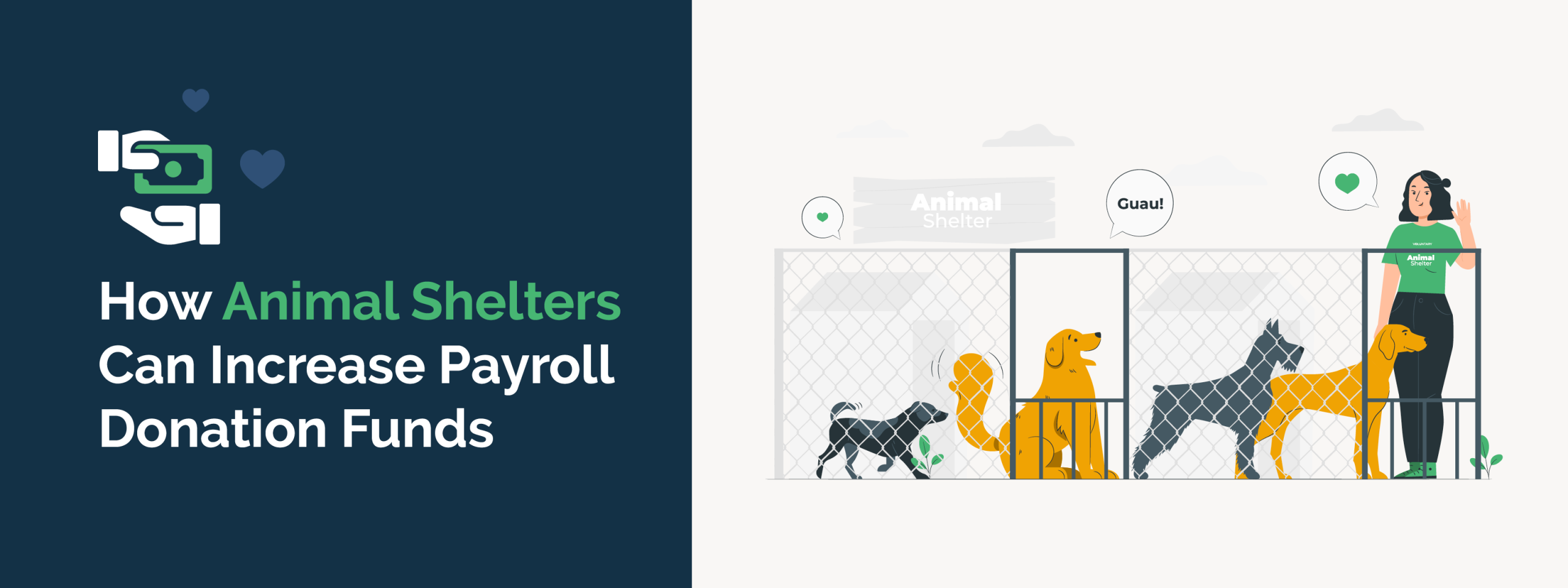 How Animal Shelters Can Increase Payroll Donation Funds