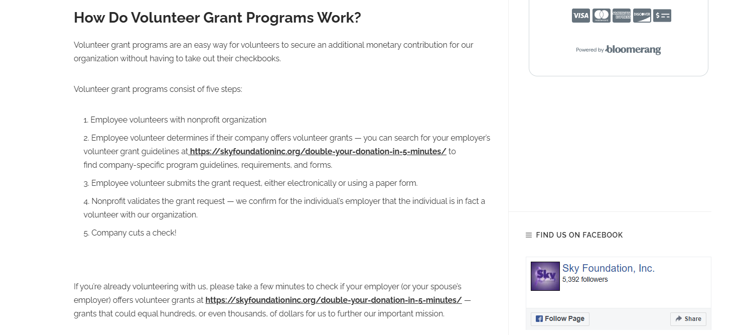 How Sky Foundation (a cancer research org) grew volunteer grant revenue with online marketing