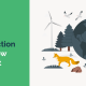 How Climate Action Groups Can Grow Volunteer Grant Revenue