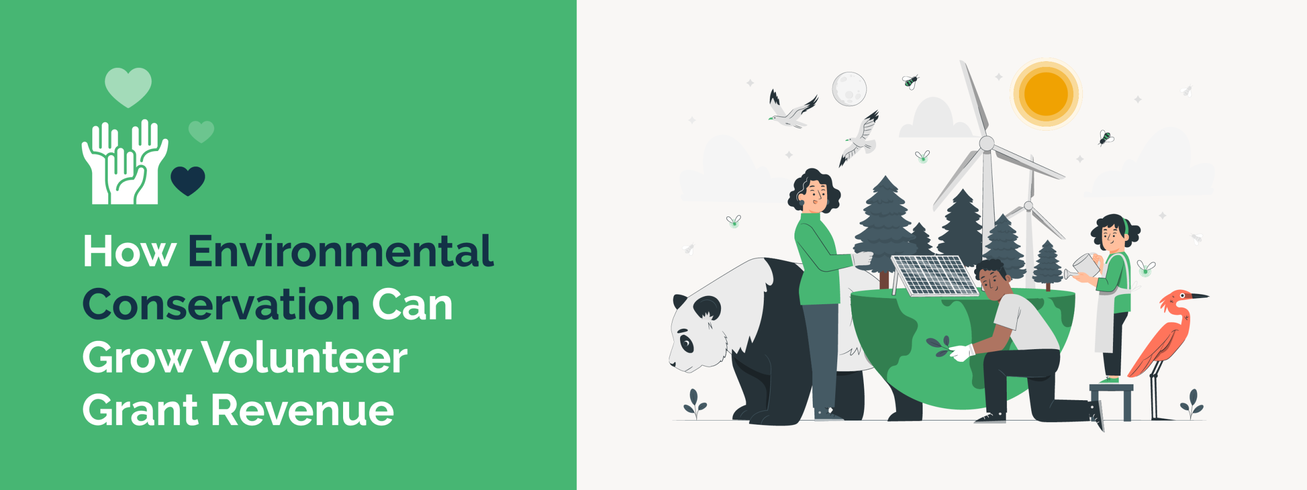 How Environmental Conservation Can Grow Volunteer Grant Revenue